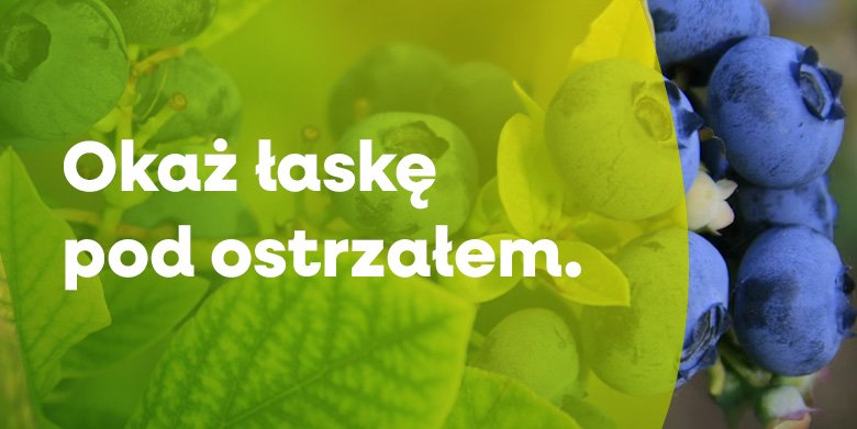 Okaż łaskę pod ostrzałem