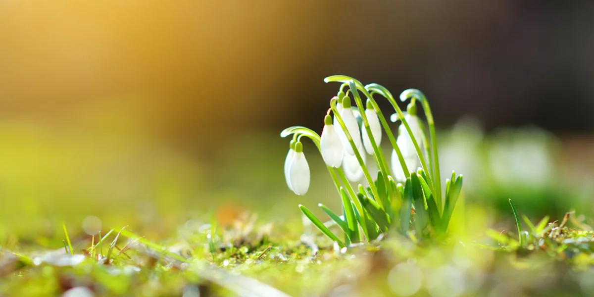 Zmęczeni zimą? Znużeni życiem? Przygotuj się na nowy początek!