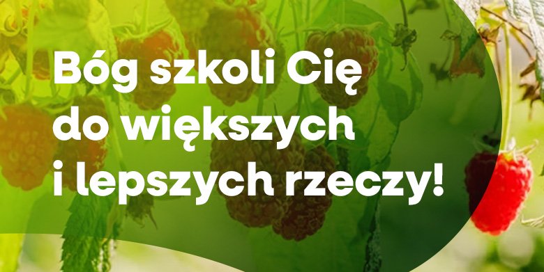 Wsiadaj do autobusu!