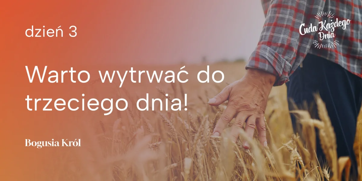 Trzeciego dnia cz. 3