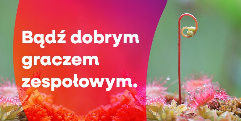 Dlaczego nie umiemy współpracować? (2)