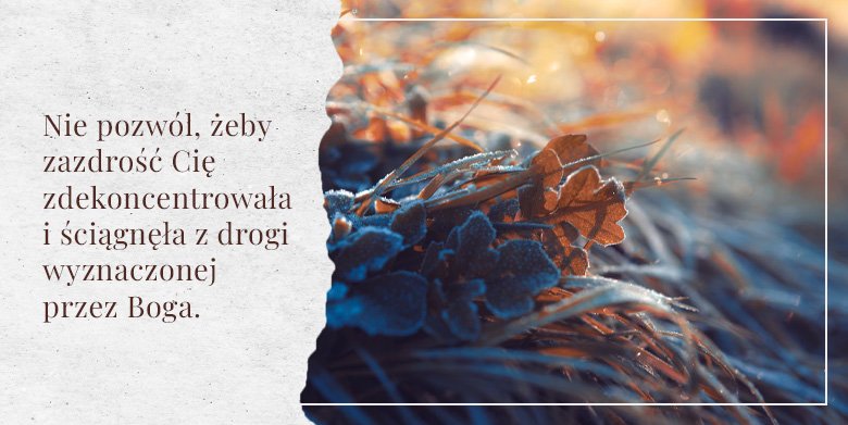 Strzeż się zazdrości