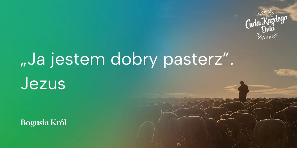 Nie ulegaj owczemu pędowi!