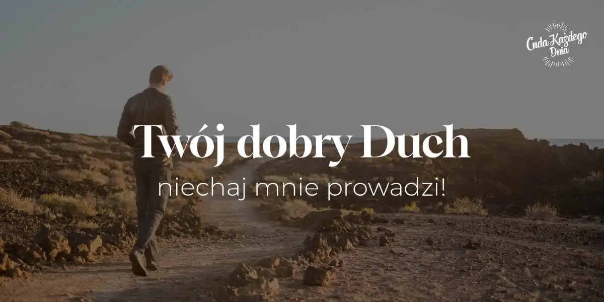 Masz adwokata?
