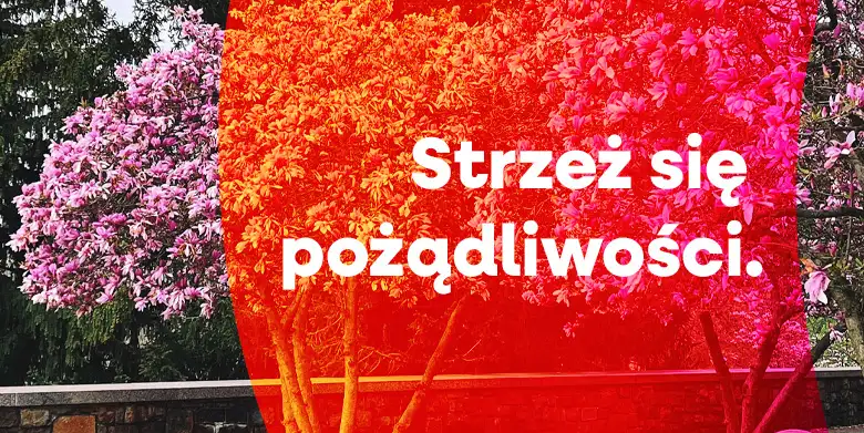 Strzeż się pożądliwości