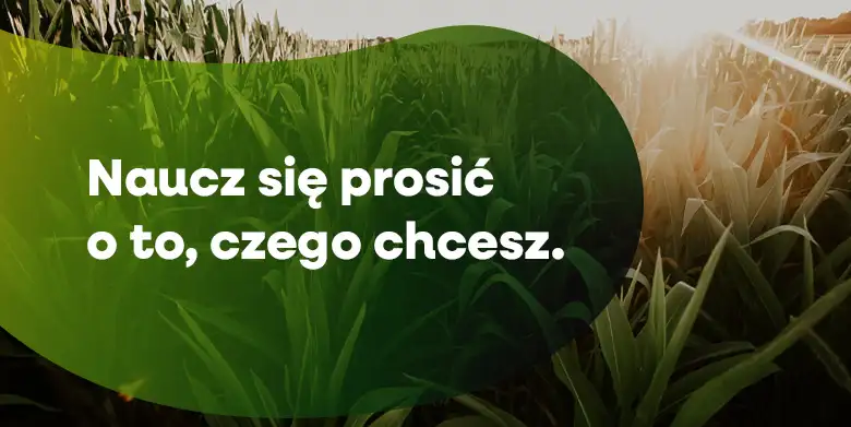 Naucz się prosić o to, czego chcesz