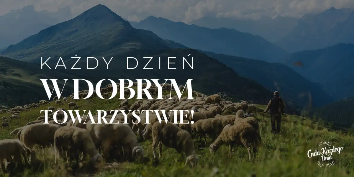 Każdy dzień w dobrym towarzystwie!
