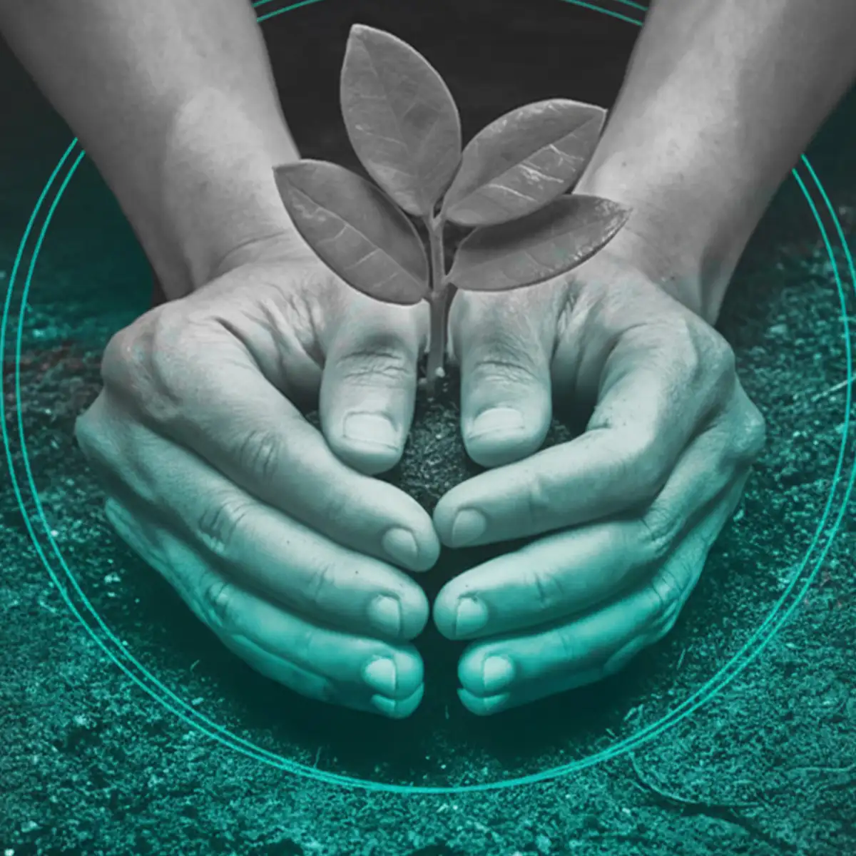 Łaska. Czy jeden dar może zmienić życie?