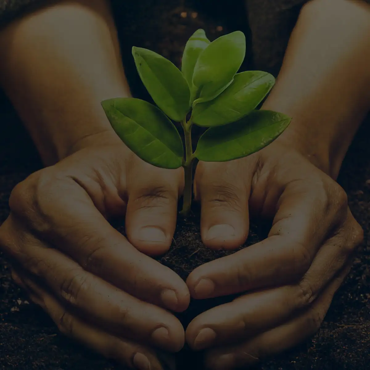 Służąc Chrystusowi