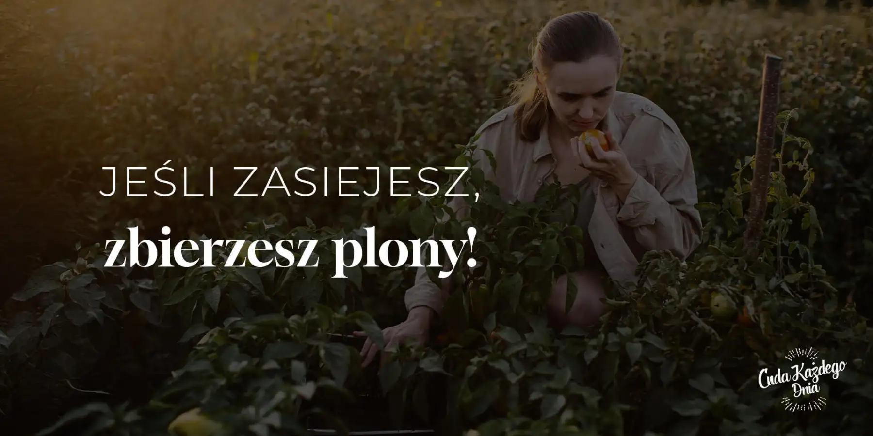 Nie zapomnij zasiać!