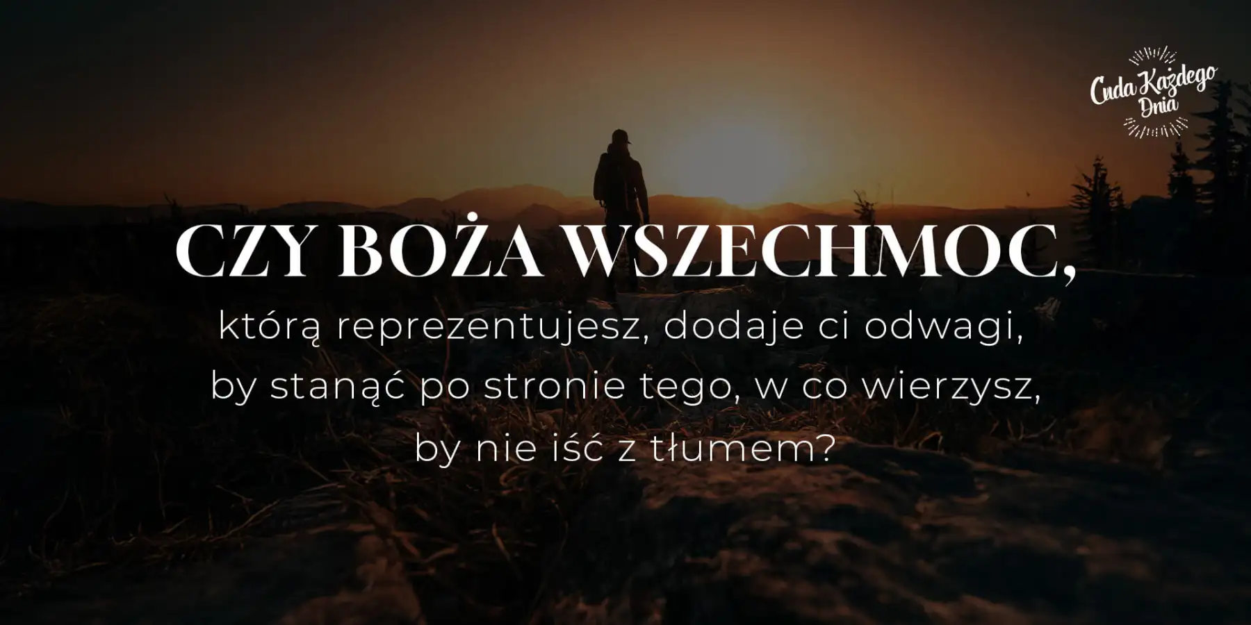 Odpowiedzialność ambasadora
