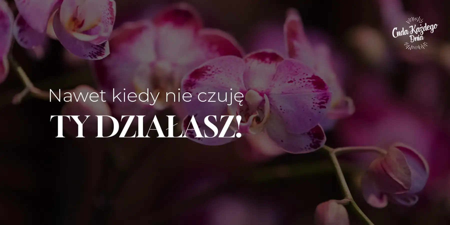 Czas cudów jest na wyciągniecie ręki!