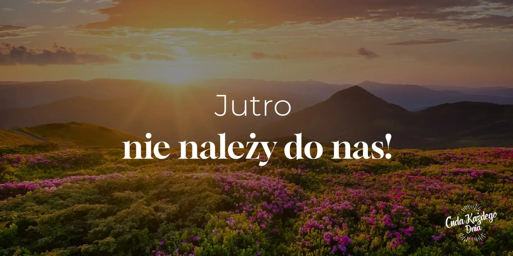Liczysz swoje dni?