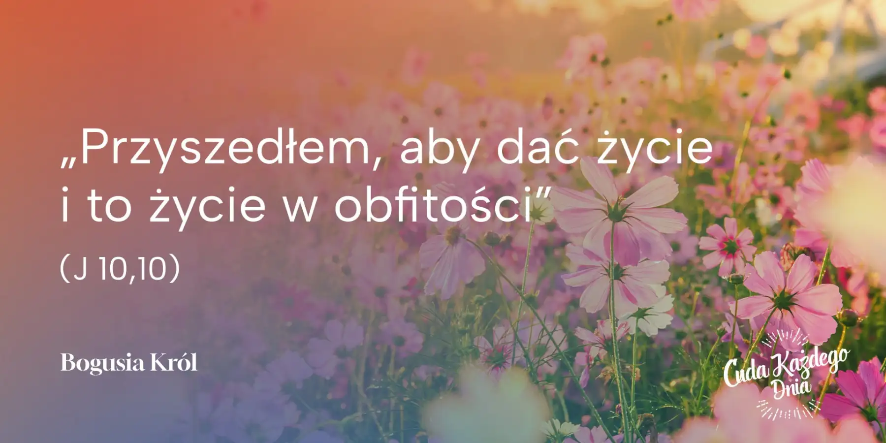 Jak pokonać zło?