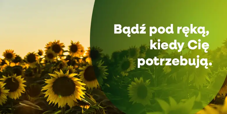 Bądź pod ręką, kiedy cię potrzebują