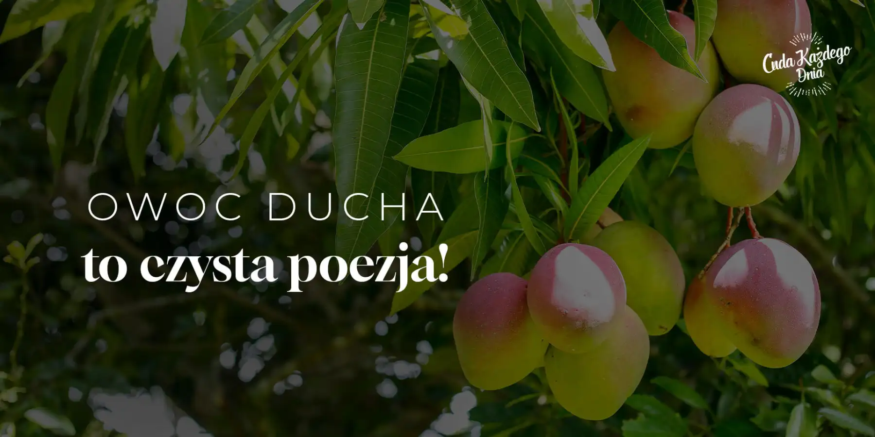 Owoc o wielu smakach