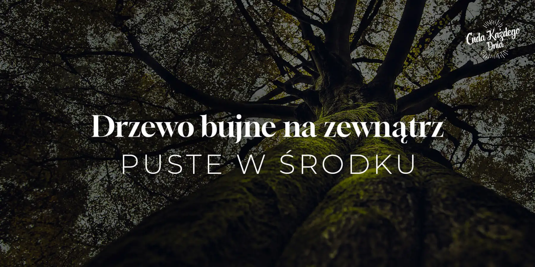 Jesteś osobą autentyczną?