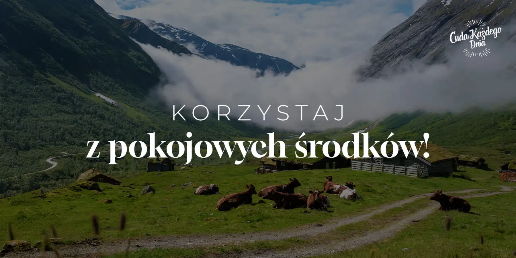 Słowo pojednania