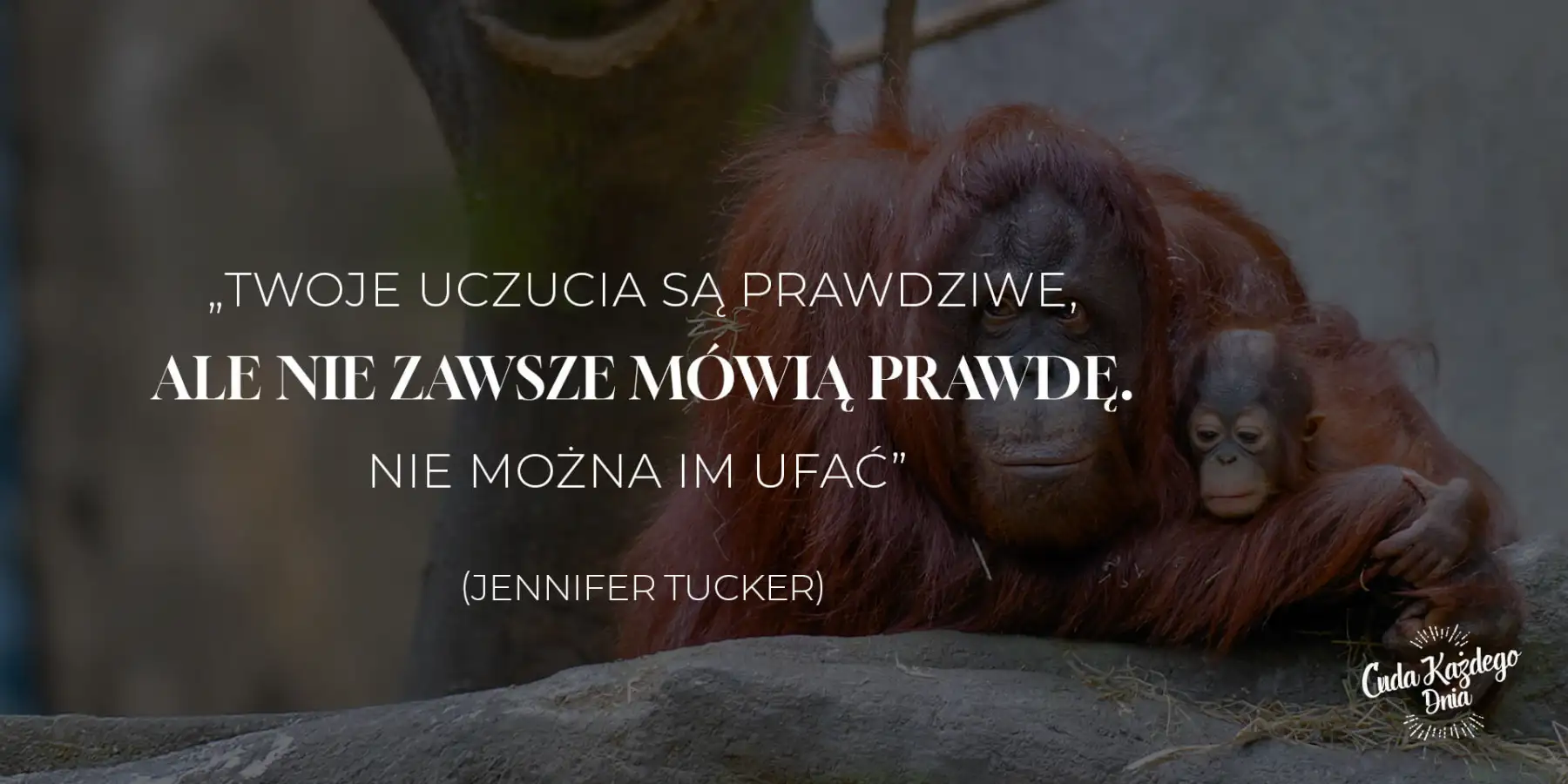 Jak duża jest twoja niezależność?