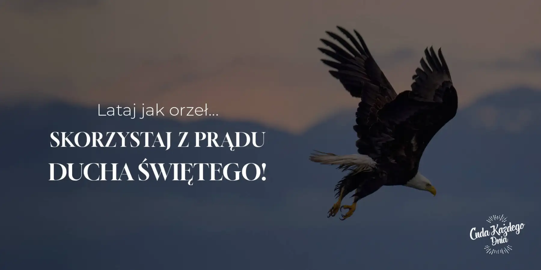 Wzbij się wyżej!