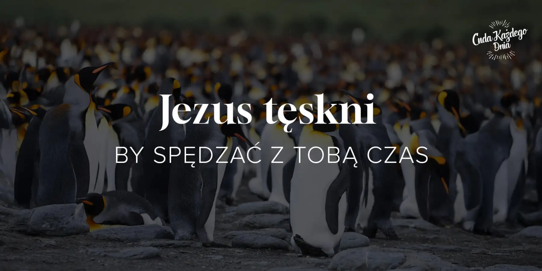 On słyszy twój głos!