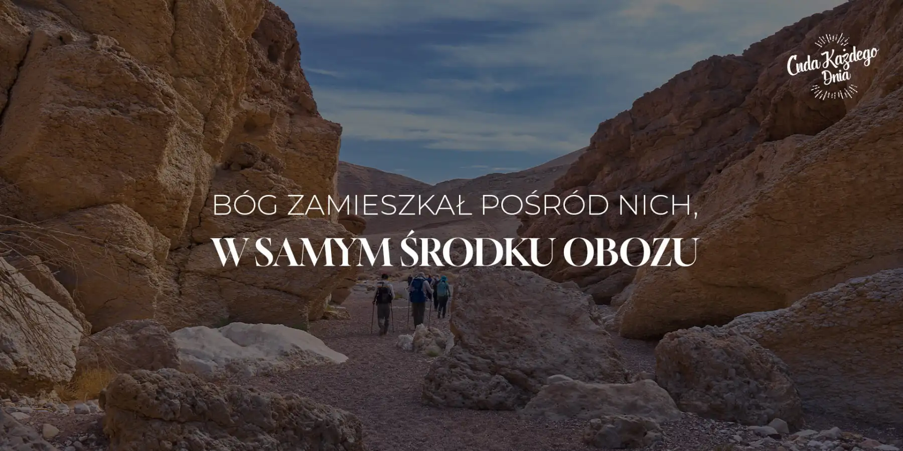 Nawet na pustyni jest życie