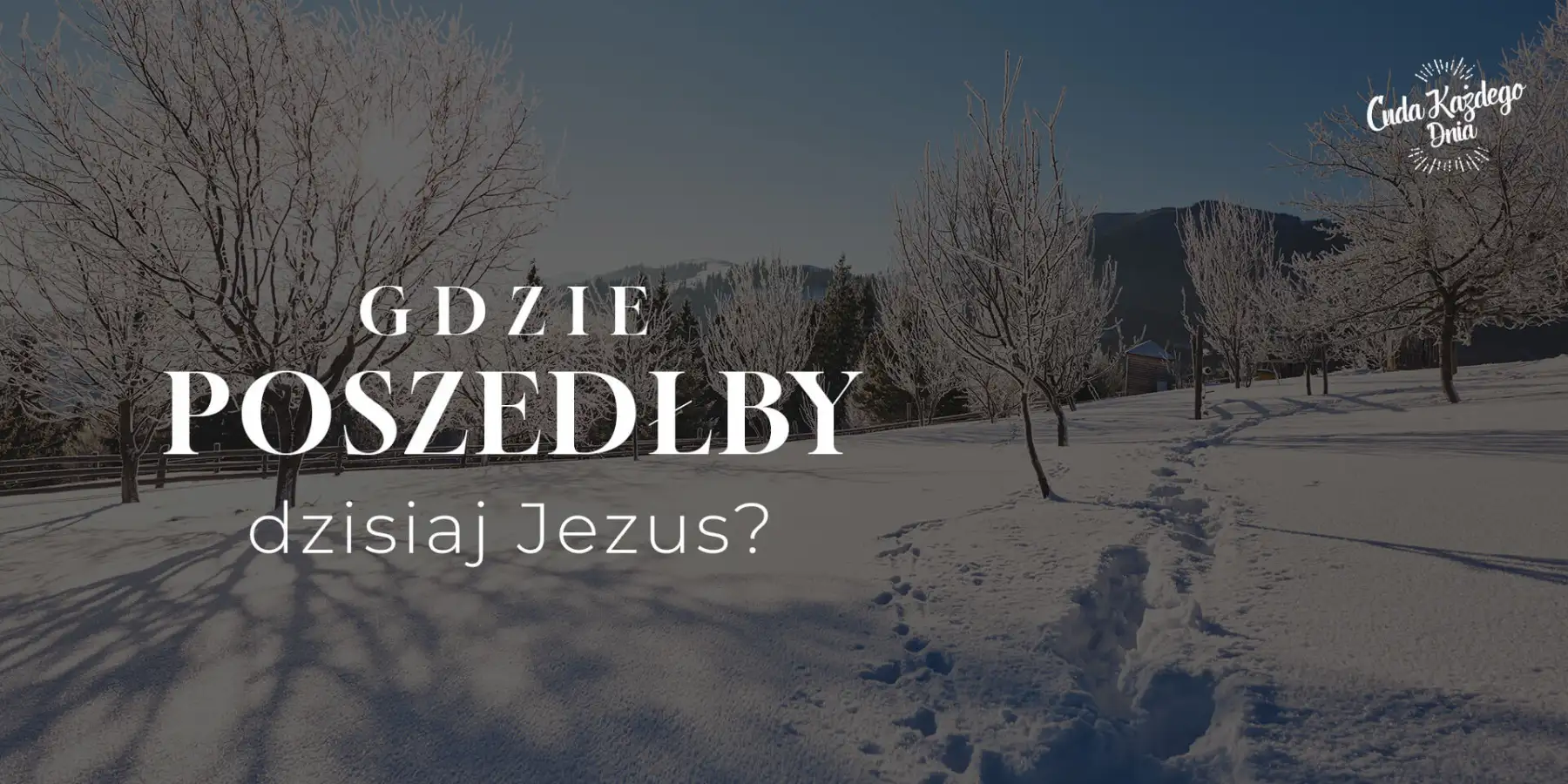Odpowiedzialność naśladowcy
