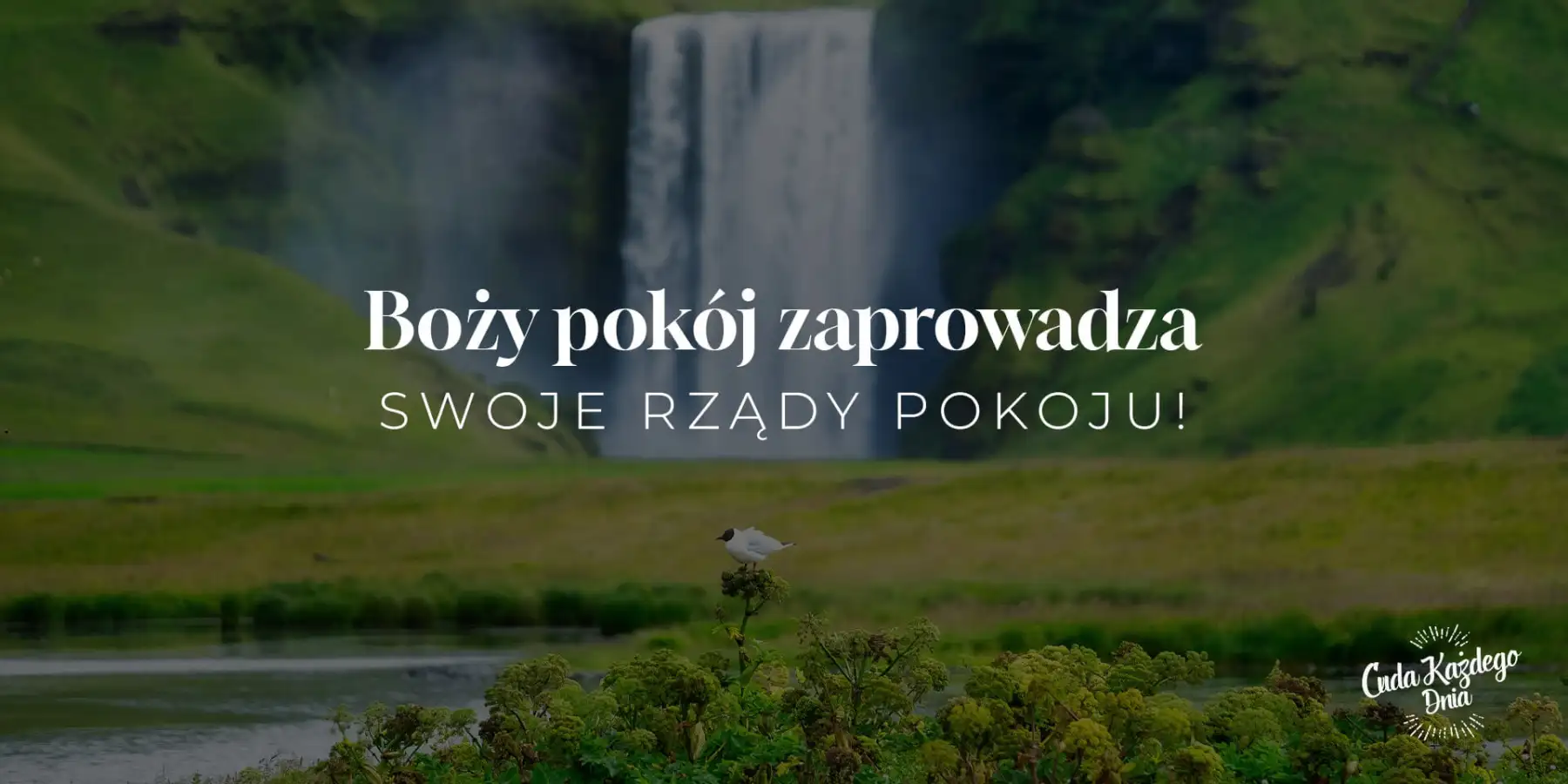 Co rządzi twoim sercem?