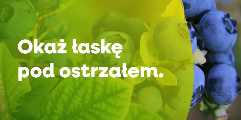 Okaż łaskę pod ostrzałem