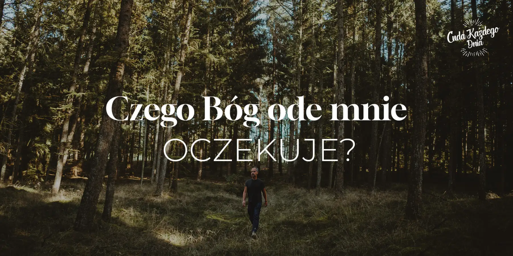 Jak przeżyć ten dzień?