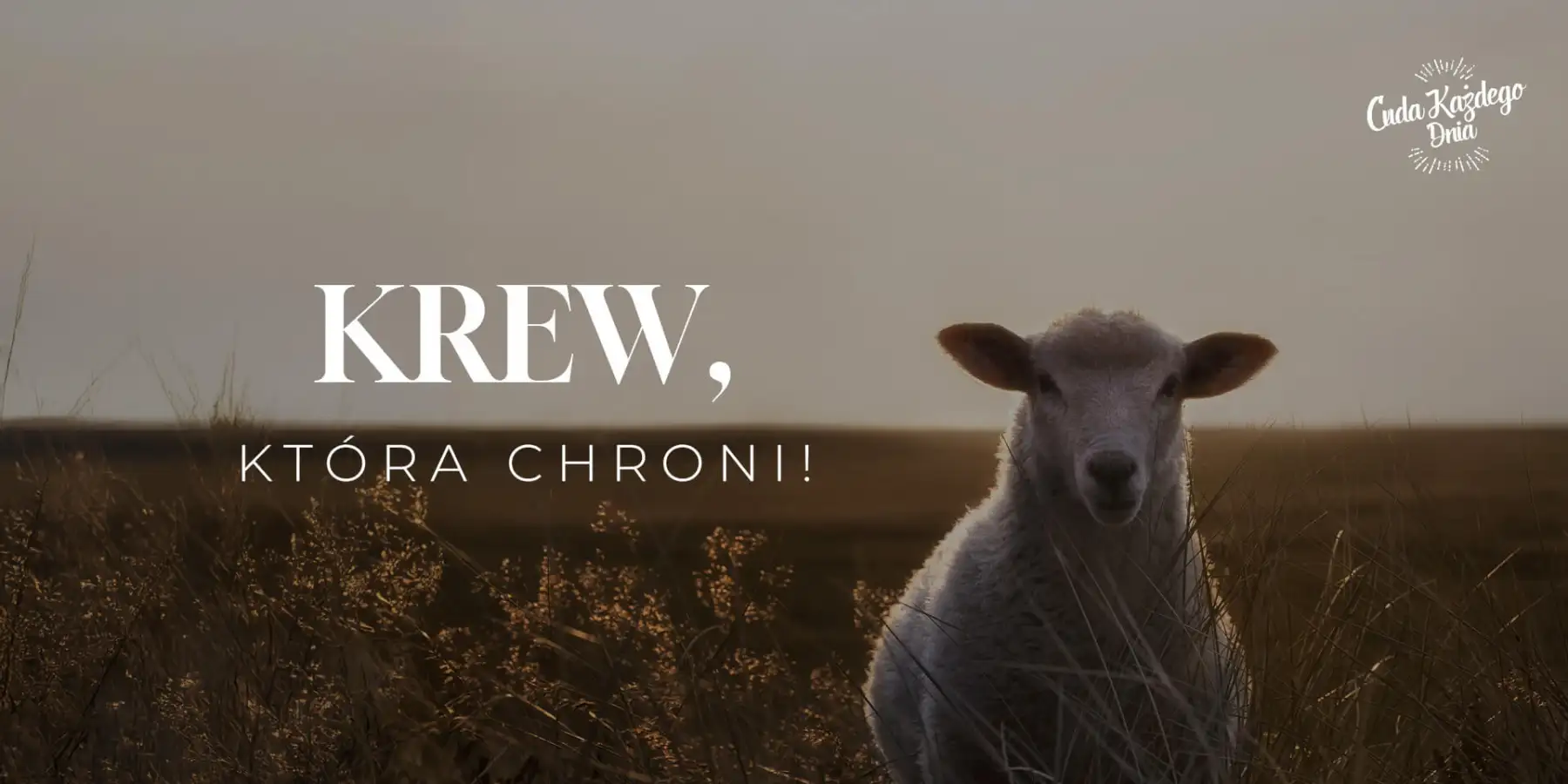 Krew, która chroni