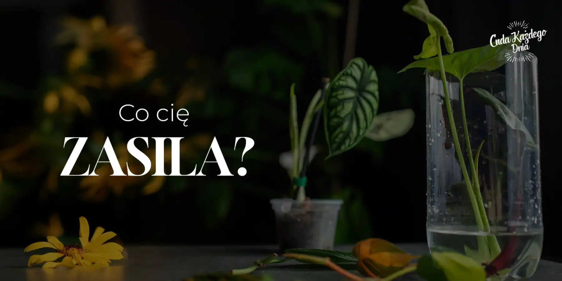 System naczyń połączonych